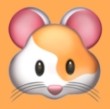WWW,av176·COM网站APPAPP应用
