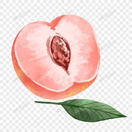 橘子视频